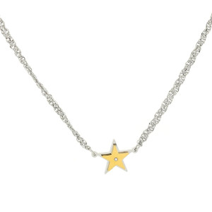 COLLANA CM 41+5 IDEAL IN ACCIAIO STELLA MM 15